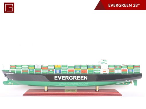 Evergreen 70cm-01