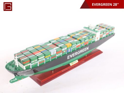 Evergreen 70cm-03