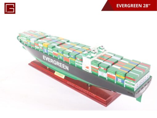 Evergreen 70cm-06