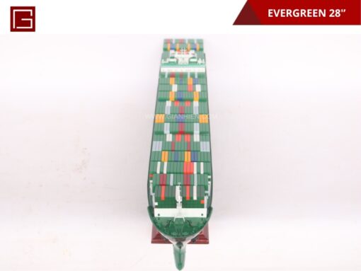 Evergreen 70cm-09