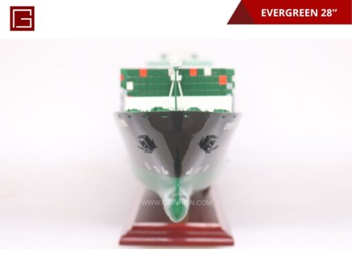 Evergreen 70cm-10