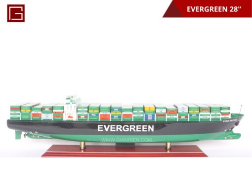 Evergreen 70cm-11