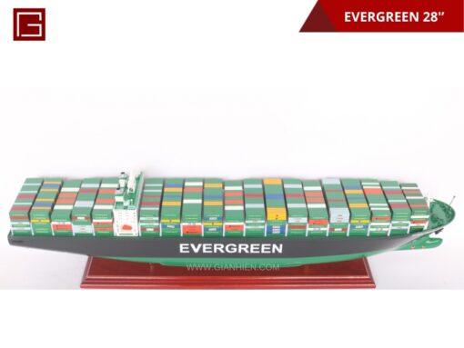 Evergreen 70cm-12