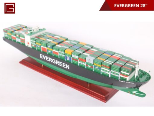 Evergreen 70cm-13