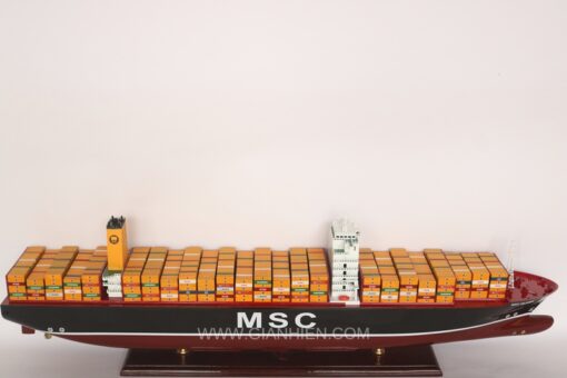 Msc Oliver-16