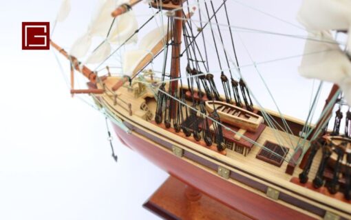 Cutty Sark 40 (10)