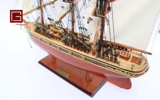 Cutty Sark 40 (8)