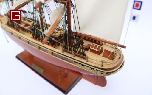 Cutty Sark 40 (9)