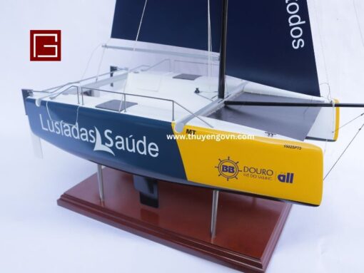 Catamaran Inclusive Sailing 60cm (11)