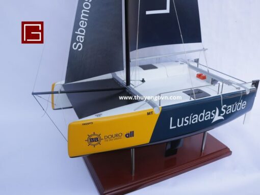 Catamaran Inclusive Sailing 60cm (5)