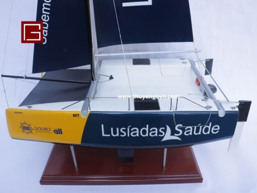 Catamaran Inclusive Sailing 60cm (6)