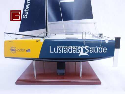 Catamaran Inclusive Sailing 60cm (7)