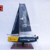 Catamaran Inclusive Sailing 60cm (8)