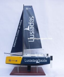 Catamaran Inclusive Sailing 60cm (8)