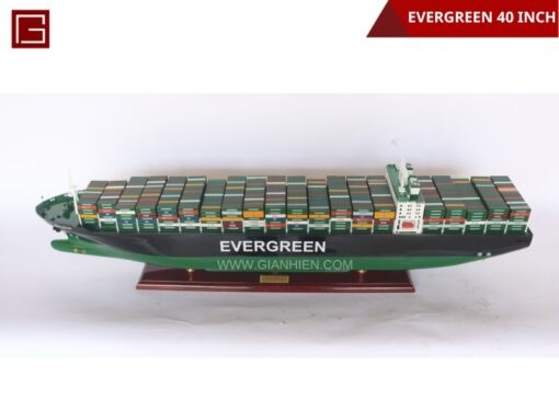 Evergreen- 02