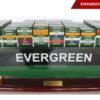 Evergreen- 05