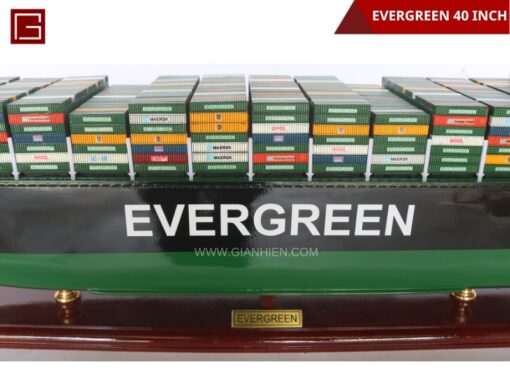 Evergreen- 05