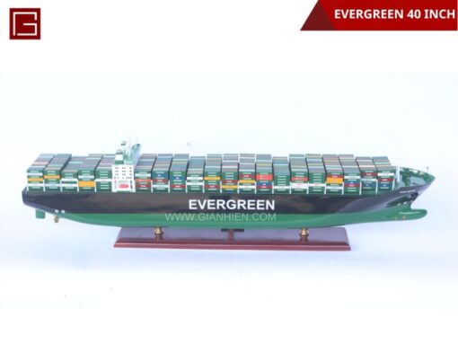 Evergreen- 21