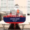 Hafnia daisy