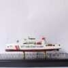 Viet Nam Coast Guard 8005 With Display Case-07