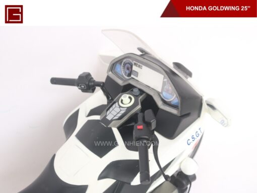 Honda Goldwing-24