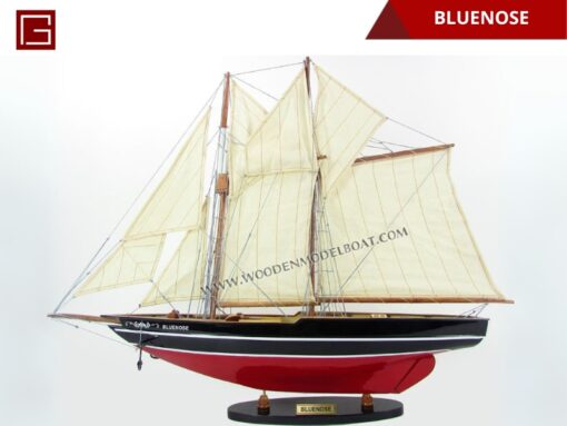 Bluenose-01