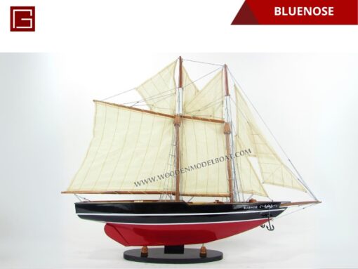 Bluenose-10