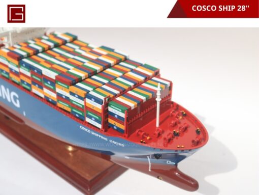 Cosco Ship-16