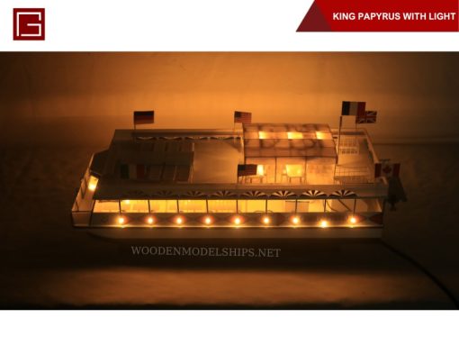 King Papyrus With Light-11