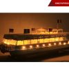 King Papyrus With Light-12