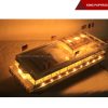 King Papyrus With Light-13