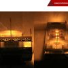 King Papyrus With Light-14
