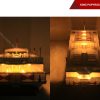 King Papyrus With Light-15