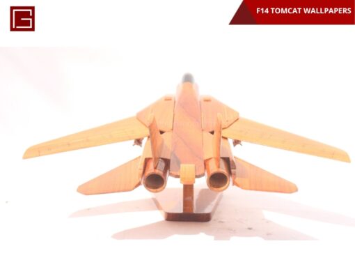 F14 Tomcat Wallpapers-09