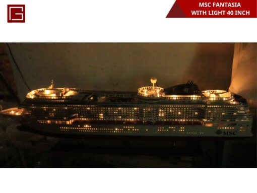 Msc Fantasia With Light (4)