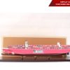 Display Case For Container One Apus 100cm (1)