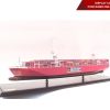 Display Case For Container One Apus 100cm (6)