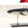 Shark Submarine-05
