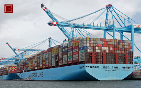 Container ships are the most common type of cargo vessel.