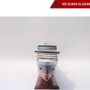 Ms Queen Elizabeth 2010-10